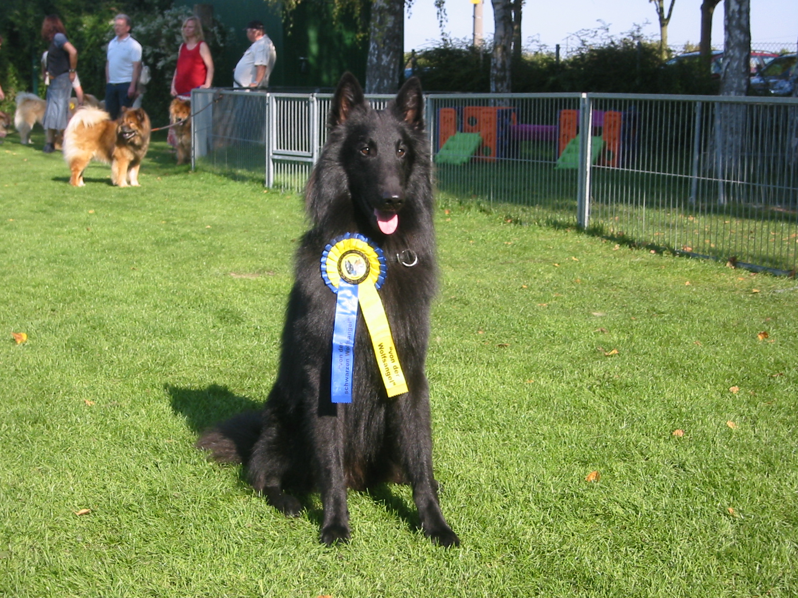 Buddy v. der schwarzen Wolfsangel